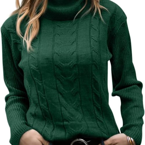 Slim Fit Ribbed Knit Turtleneck Top